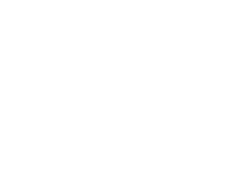 Element Network